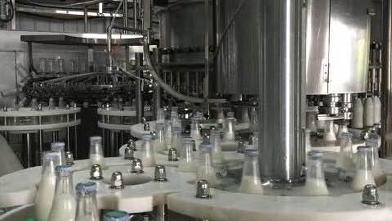 面包烘焙设备采购前先看懂这三点